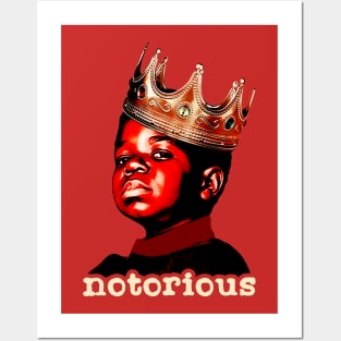 Diff'rent Strokes Notorious Arnold Posters and Art